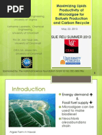 2013-Sue-Reu Project3 Carbon-Sequestration Final-Presentation