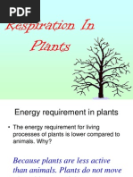 Respiration in Plant