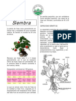 Siembra Fresa Proplantas