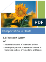 Y10 Plant Transport Lesson 1