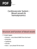 Blood Vesssel Upload