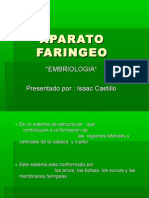 Aparato Faringeo