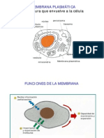 Biologia Celular - Clase 04