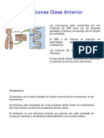 Biologia Celular - Clase 10