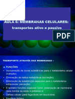 Aula 6 Transportes Ativo e Passivo