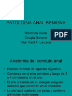 Patologia Anal Benigna-Clase