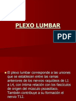 Plexo Lumbar