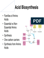 451amino Acid Biosynthesis