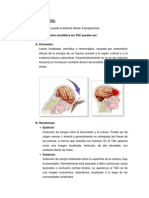 Clasificación Del Tec