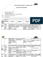 Paloma Informe Diagnostico