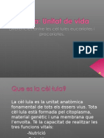 Diferències de Les Cèl Lules Procariotes I Eucariotes (Sara I Maria