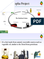 Projeto Biodiesel Jatropha