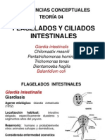 Flagelados y Ciliados Intestinales USMP-2013