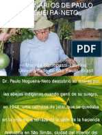 PNN - Meliponário Na Sua Fazenda