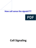 Cell Signalling