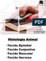 Histologia Animal