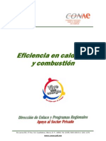 Eficiencia en Calderas y Combustion