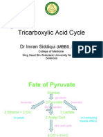 Tricarboxylic Acid Cycle: DR Imran Siddiqui