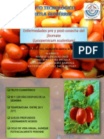 Enfermedades Pre y Post - Cosecha Del Jitomate