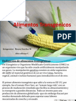 Alimentos Transgénicos