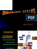 Respiratory System5