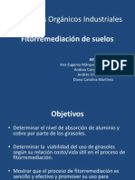 Presentación Fitorremediacion de Suelos