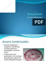 Ascariosis