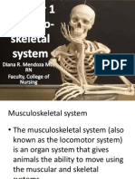 Chapter 1-Musculoskeletal System