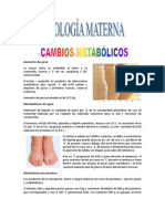 Fisiologia Materna