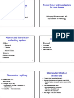 Renal Pathology: Kidney and The Urinary Collecting System