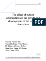 The Effect of Human Urbanization On The Growth and Development of The Acheta Domesticus