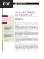 C+F-Intracranial Pressure in Dogs and Cats