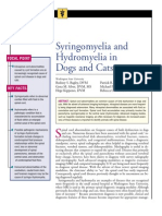 C+F-Syringomyelia and Hydro My Elia in Dogs and Cats