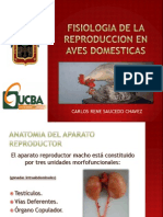 Fisiologia de La Reproduccion en Aves Domesticas PDF