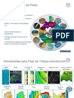 Petrel Flujo Trabajo