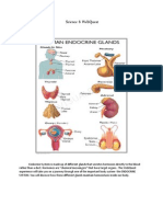 Webquest Endocrine System Science6 2