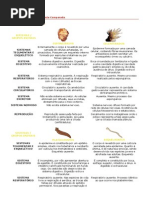 Tabela Anatomia Comparada