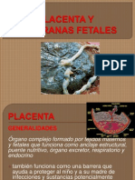 Exposicion Placenta SPFPL