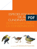 Especies Focales de Aves de Cundinamarca PDF