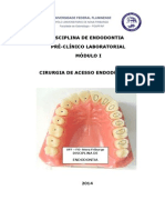 Cirurgia de Acesso Endodontico - 2014