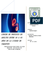 Protocolo de Investigacion - Cáncer de Próstata