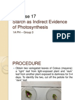 Starch As Indirect Evidence of Photosynthesis