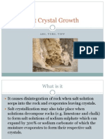 Salt Crystal Growth