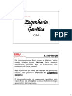 4 Aula - Engenharia Genética