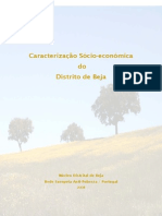 Caracterização Socio Económica Distrito de Beja - 2008