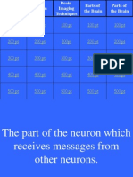 Brain Review Jeopardy