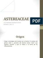 ASTERECEAE