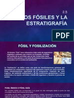 2.5 Los Fósiles y La Estratigrafia