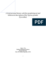 A Brief Personal History With The Morphological and Behavioral Description of The Tigrosa Grandis (Lycosidae)