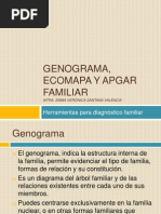 Ecomapa